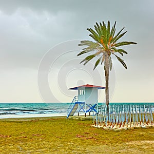 Beach with palm tree and life guard tower