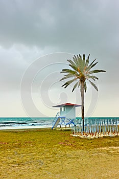 Beach with palm tree and life guard tower