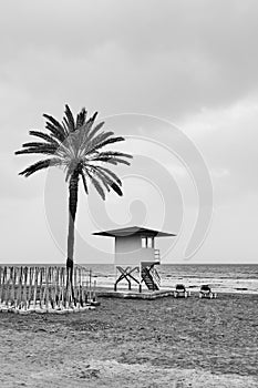 Beach with palm tree in low season