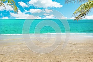 Beach with palm tree - MaceiÃ³ beach in Alagoas