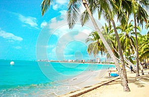 Beach with palm tree - MaceiÃ³ beach in Alagoas