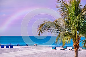 beach and palm trees