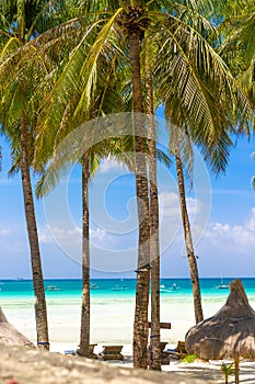 Beach with palm trees and beach beds, summer vacations