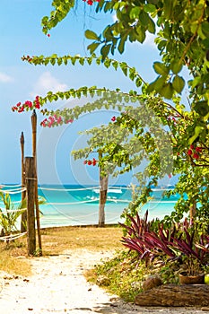 Beach with palm trees and beach beds, summer vacations