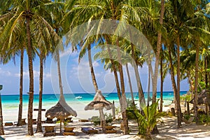 Beach with palm trees and beach beds, summer vacations