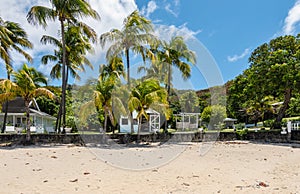 Beach with palm trees on Bequia Island, Saint Vincent and the Grenadines.