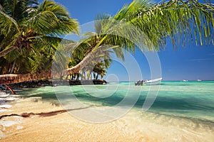 Beach palm trees and boat in caribbean sea, La Romana, Punta Cana, Saona island, Playa Bayahibe, Dominican