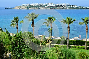 Beach with palm trees in Bodrum