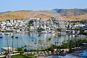 Beach with palm trees in Bodrum