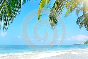 Beach with palm trees. Koh Chang, Thailand