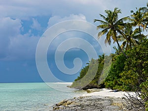 Beach with palm trees - Kuramathi Maldives photo