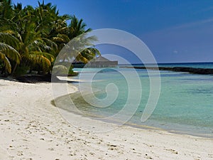 Beach with palm trees - Kuramathi Maldives photo
