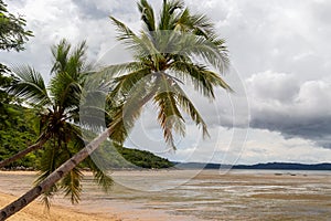 Beach with palm trees  on Nosy Be island in Madagascar, Africa