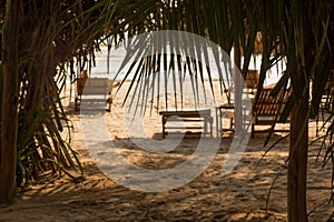 The Beach and Palm Trees at Sihanoukville, Cambodia