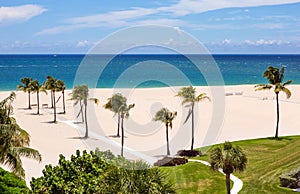 Beach with palms