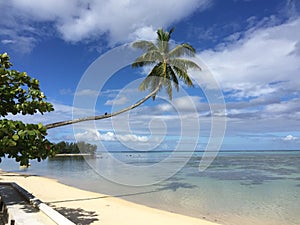 Beach, palms and island from Polynesia