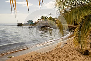 Beach and palms at island of Roatan in Honduras.