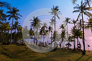 Beach with palms at sunset