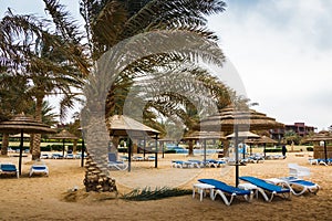 Beach with palms and umbrellas in a Windy and cloudy day