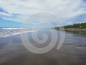 Beach palo seco. Costa Rica.