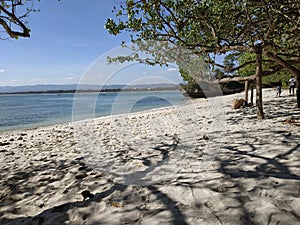 Beach of pangandaran