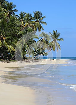 A beach  in paradise