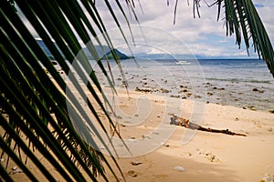 Beach paradise at Puerto Galera of Oriental Mindoro Philippines photo