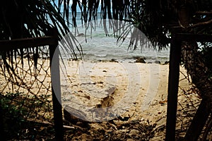 Beach paradise at Puerto Galera of Oriental Mindoro Philippines photo