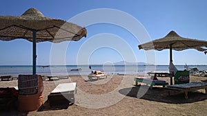 Beach with parasols and bougainvillea , Sharm el-Sheikh, Egypt