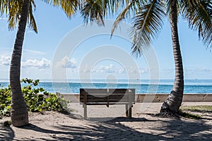 Beach park bench