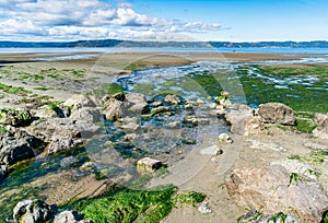 Beach Park Dash Point 2