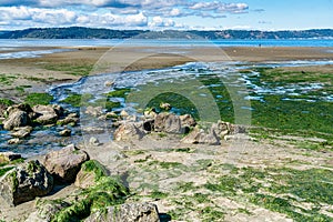 Beach Park Dash Point