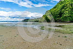 Beach Park Landscape 3