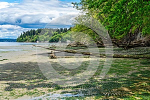 Beach Park Landscape 8