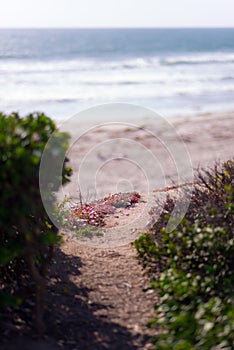 Beach Path