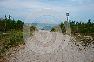 Beach path at baltic sea