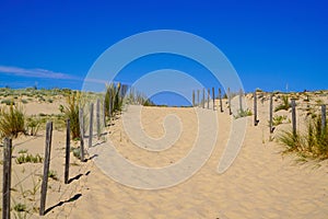 Beach Path Through Dunes with fence access sea in Lacanau ocean atlantic in France