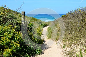 Beach path to Fistral beach, Cornwall photo