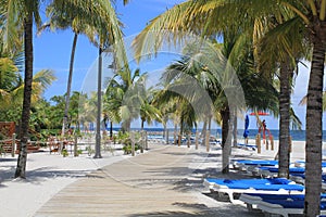 Beach Pathway in Harvest Caye, Belize