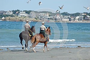 Beach patrol 2