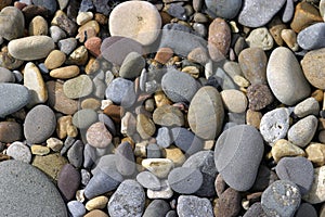 Beach Pebbles