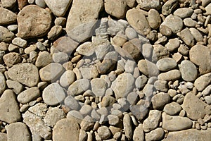 Beach pebbles, background, stones, beige abstract