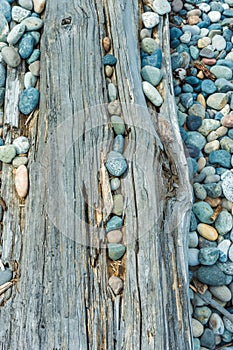 Beach pebbles and driftwood log, British Columbia, Canada.