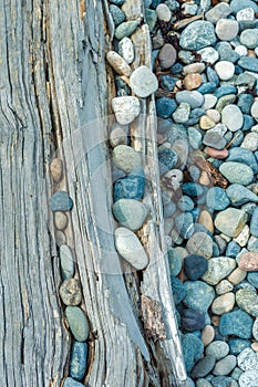 Beach pebbles and driftwood log, British Columbia, Canada.