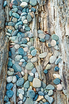 Beach pebbles and driftwood log, British Columbia, Canada.