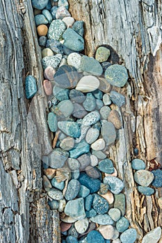 Beach pebbles and driftwood log, British Columbia, Canada.