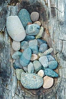 Beach pebbles and driftwood log, British Columbia, Canada.