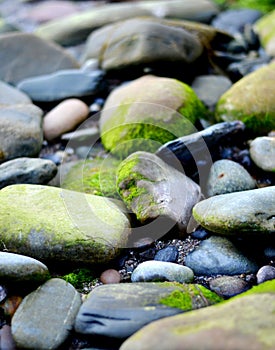 Beach pebbles and rockpools