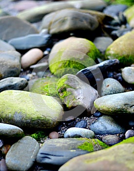 Beach pebbles and rockpools photo