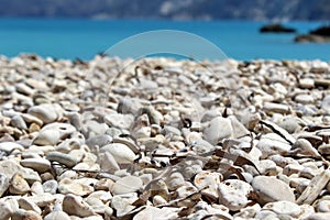 Beach pebbles from strange perspective